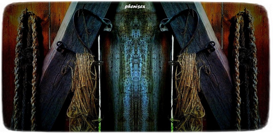 gdzieś coś - phenisex