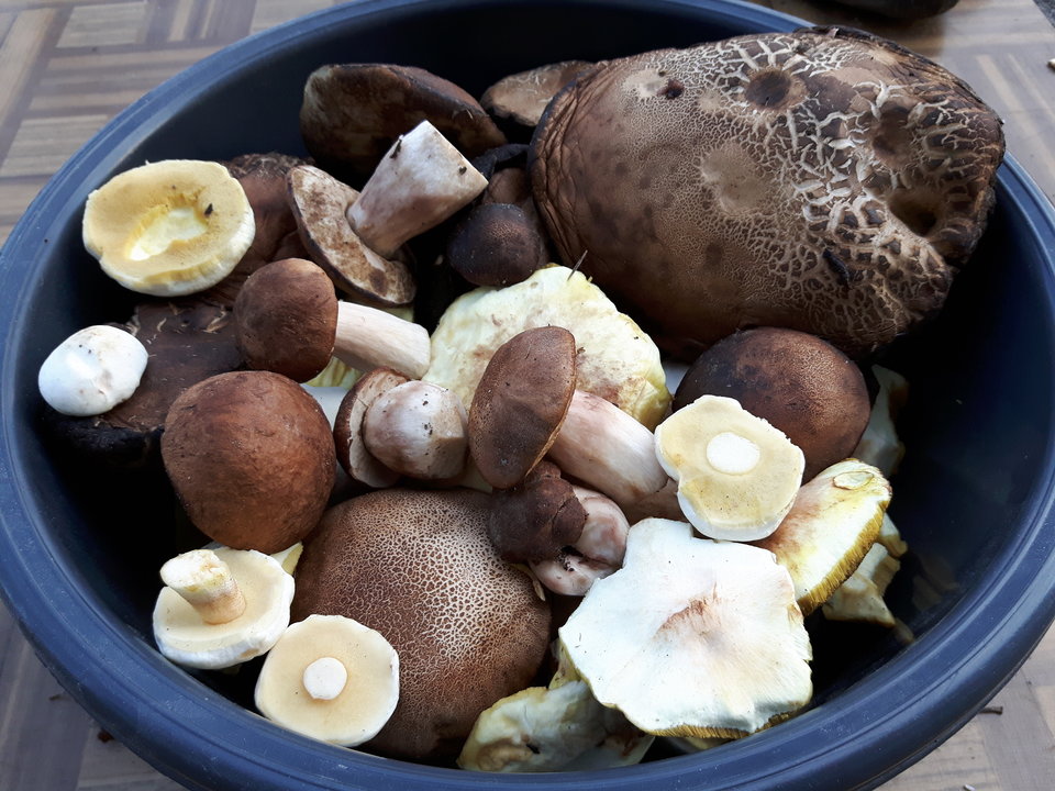 20160506_184316.jpg - rafixxx1