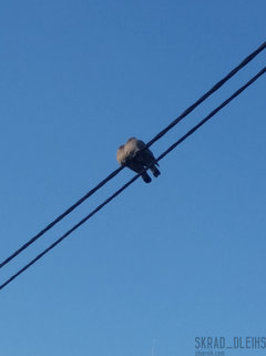 Parka dalej razem ...