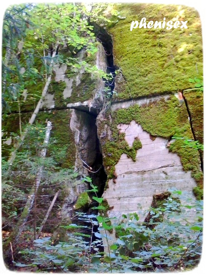 ząb czasu ... - phenisex