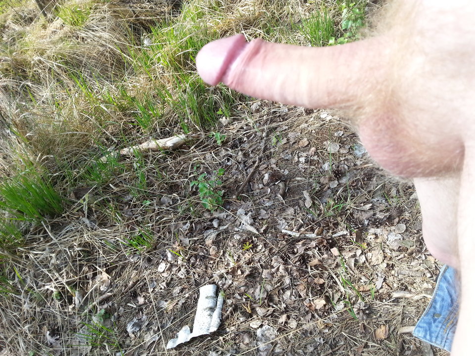 20160511_101826.jpg - glodna123