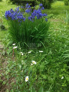 Pozdrawiam piękne panie:))