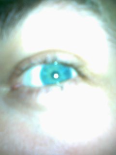 201204081482.jpg