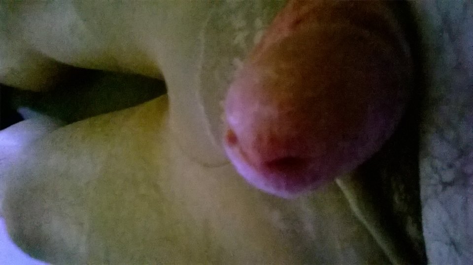 WP_20160517_077.jpg - Kamilia