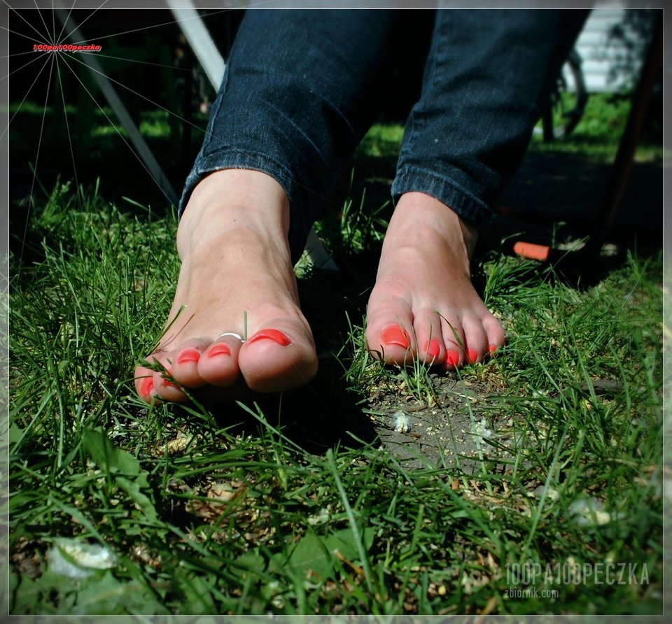 w słoneczku 33 - 100pa100peczka