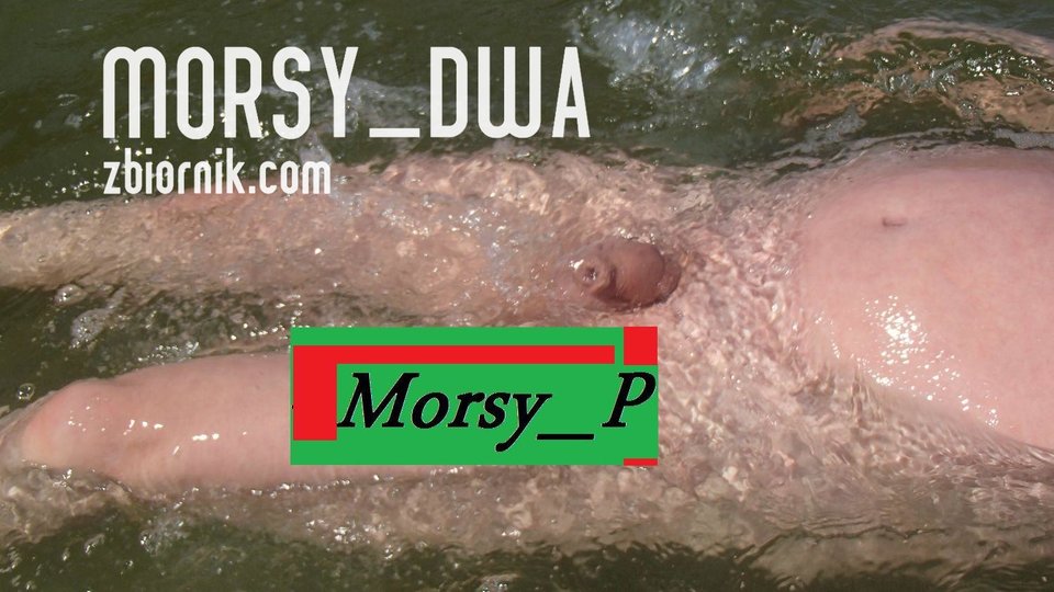 Pod powierzchnią II - Morsy_dwa