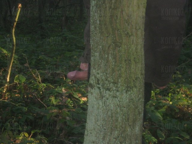 a ku ku :) - konik02