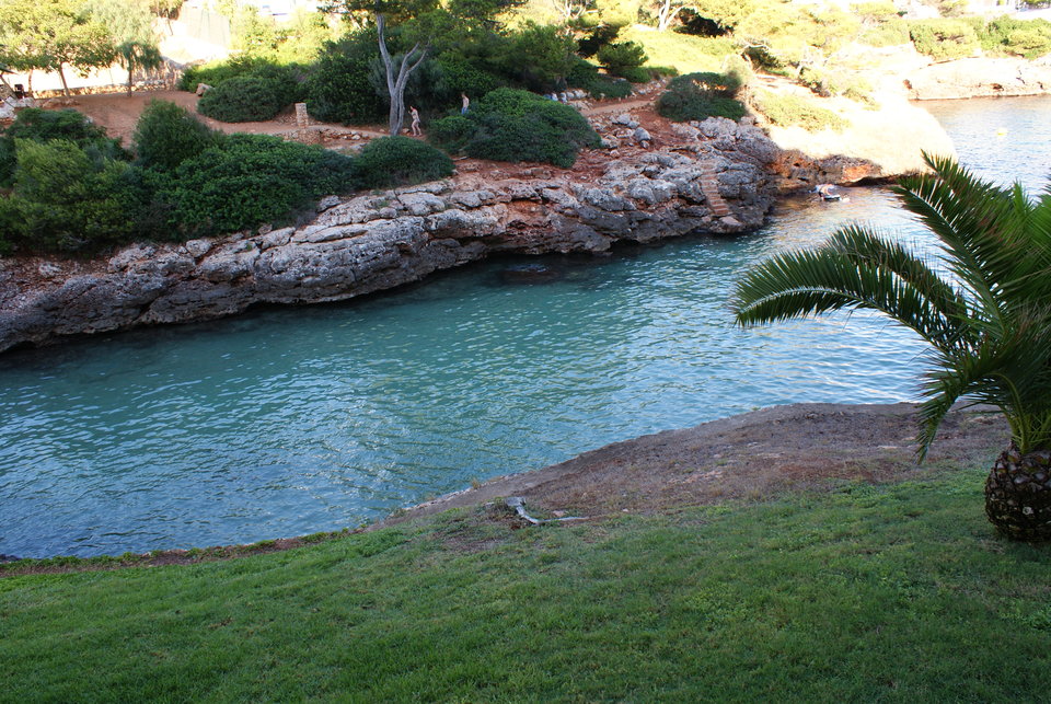 DSC07589.JPG - roonin1971