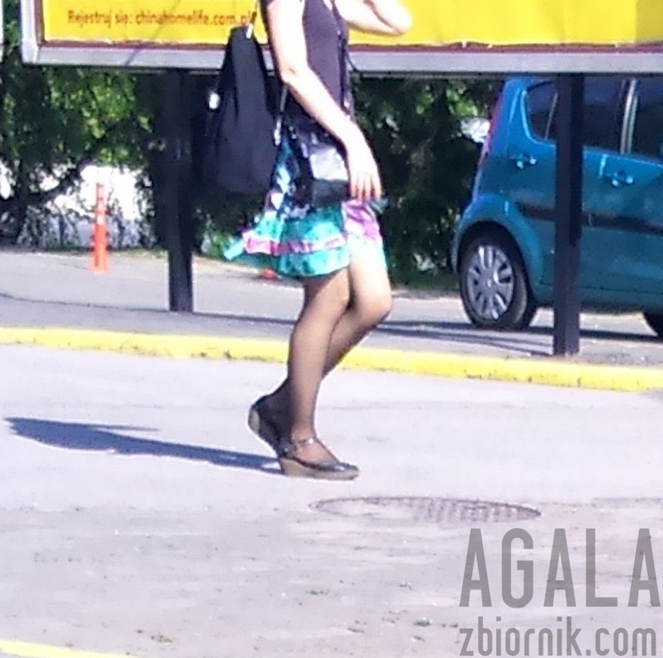 DSC_6562cz.jpg - AGALA