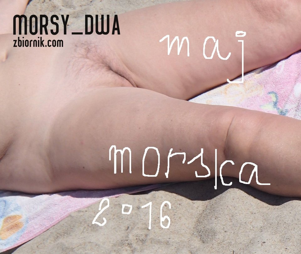 Opalanie morsicy. - Morsy_dwa
