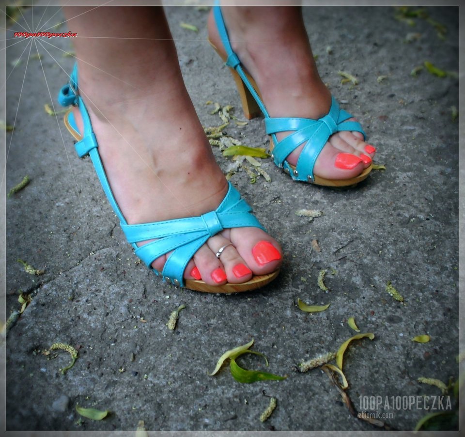 Błękitne Drewniaczki #54 - 100pa100peczka