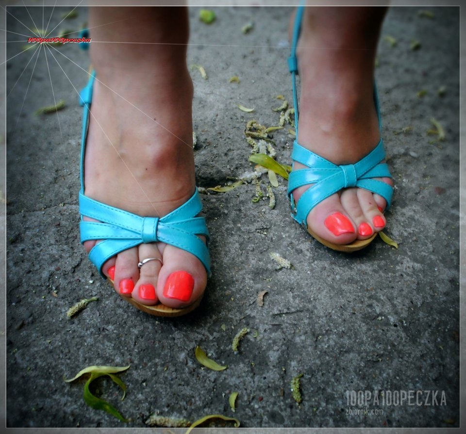 Błękitne Drewniaczki #55 - 100pa100peczka