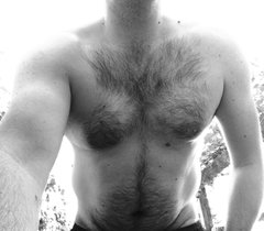 Zdjęcie przedstawia goryla  ruchacza