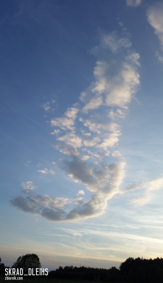 20160521_194834a.jpg - skrad_dleihs