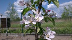 2016-05-12 13.05.03.jpg