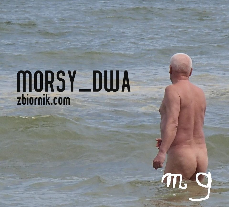 Morze - Morsy_dwa