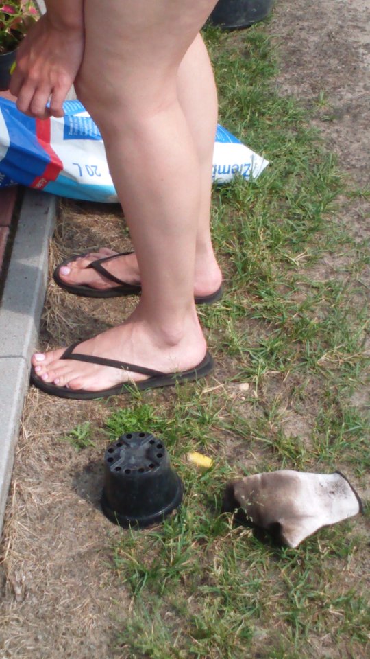 DSC_0013.JPG - HASKI1