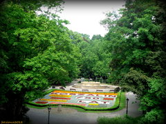 Świątecznie w koszalińskim  parku :)