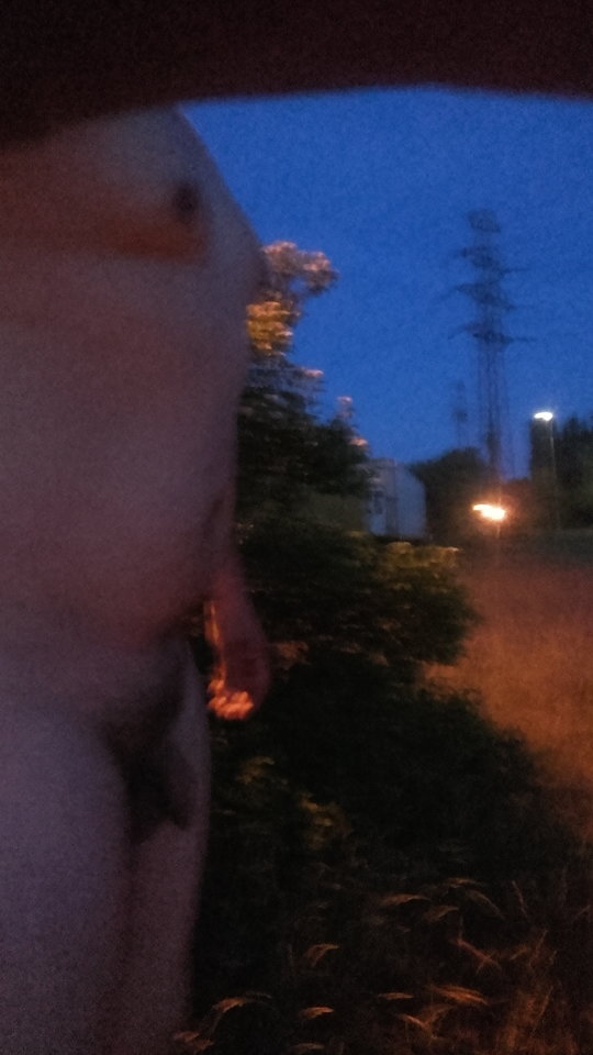 20160603_033513.jpg - lukascania1