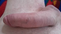010.jpg