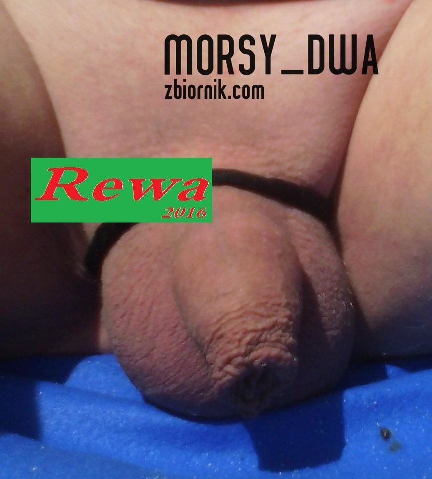 Maskowanie - Morsy_dwa