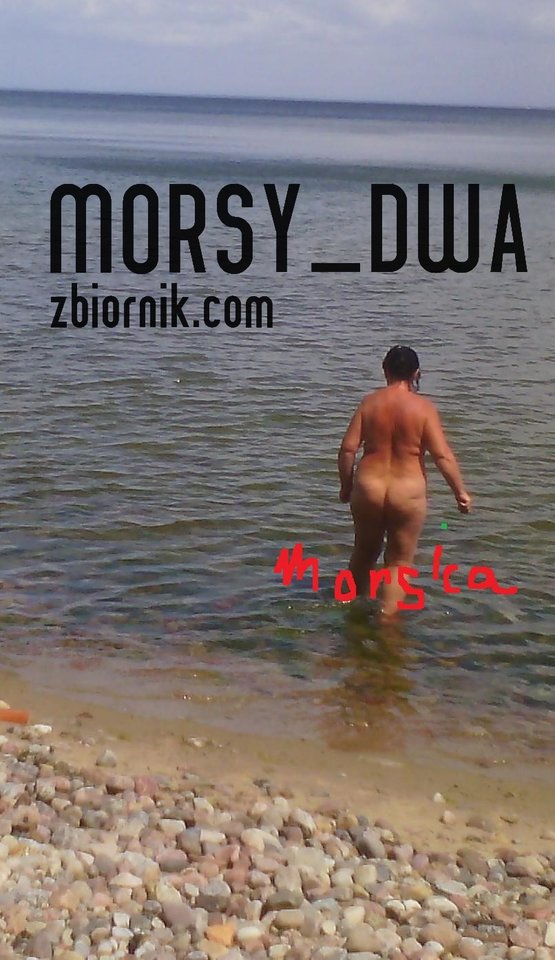 Nad morzem c. d. - Morsy_dwa