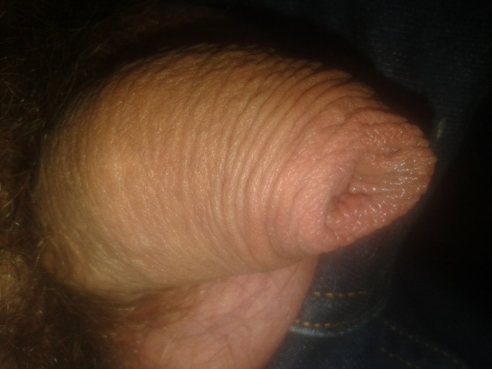 ślimak.jpg - Mirko09