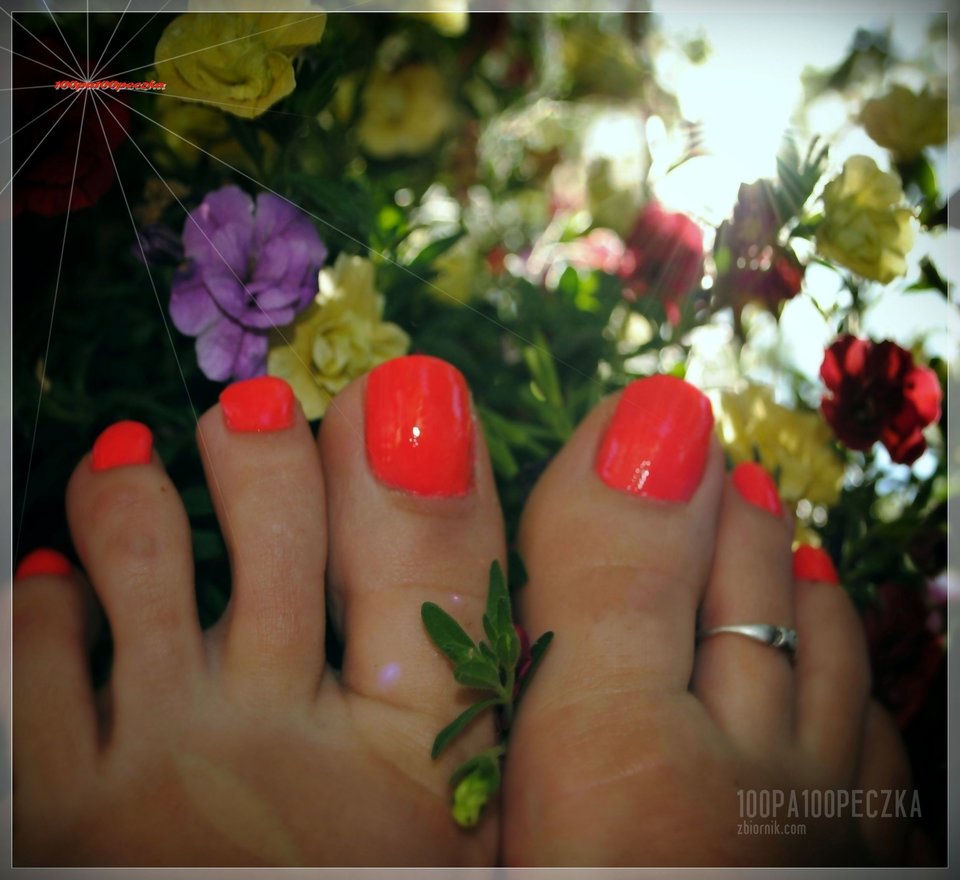 flowers #09 - 100pa100peczka