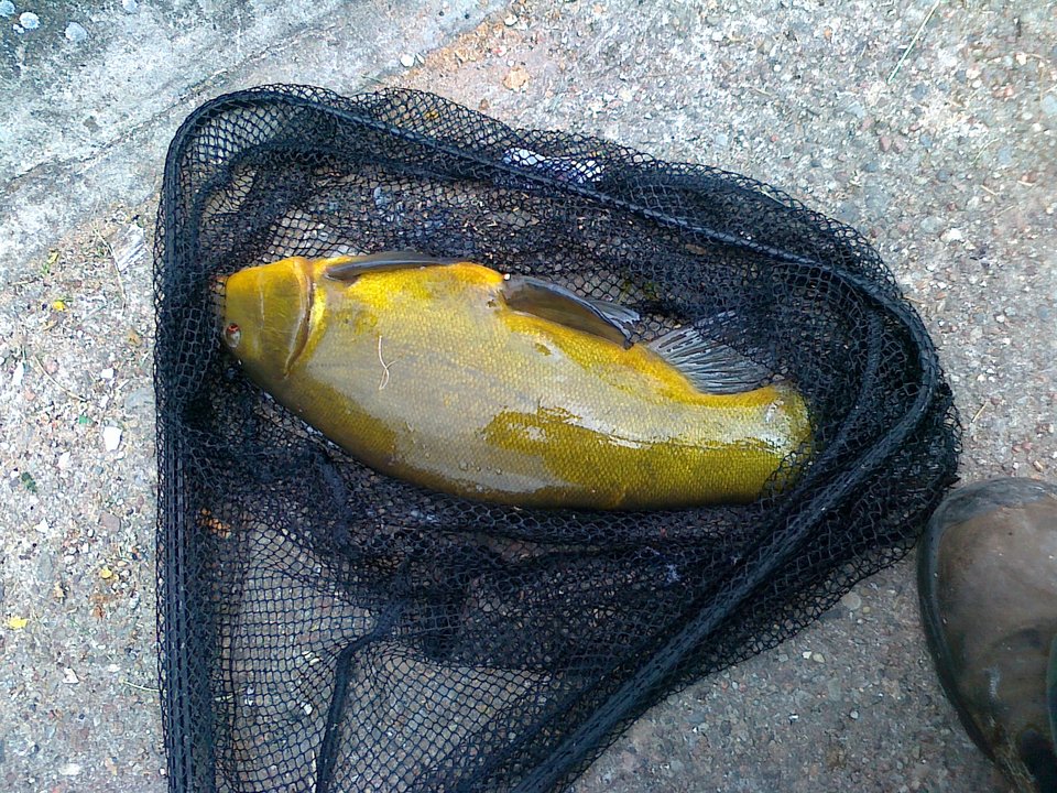 20160605090.jpg - Ponury48bis