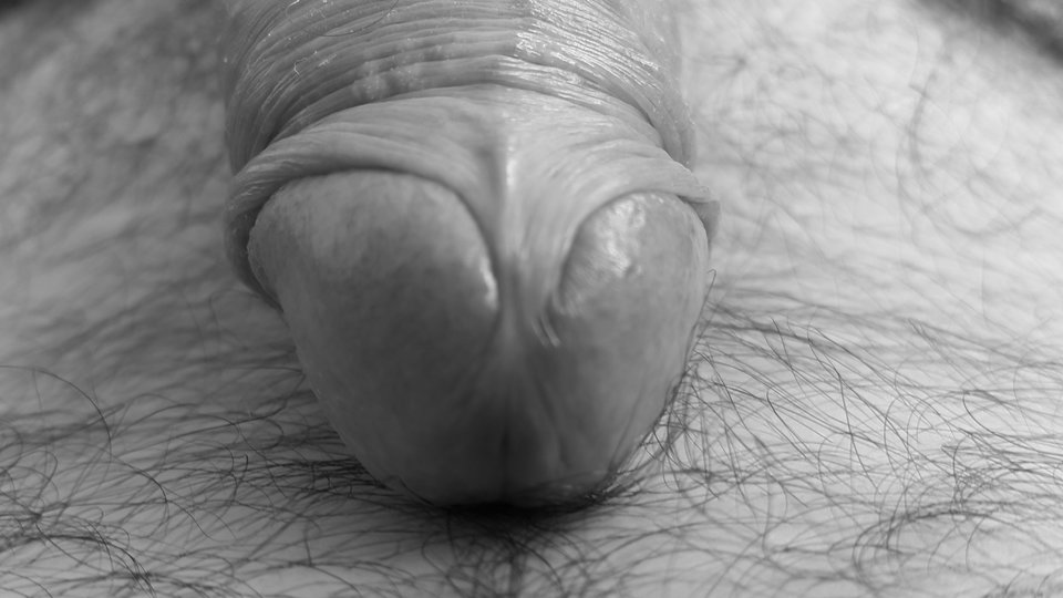 20160624_141000.jpg - vulgar321515