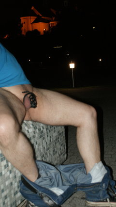 Rogacz zwiedza miasto