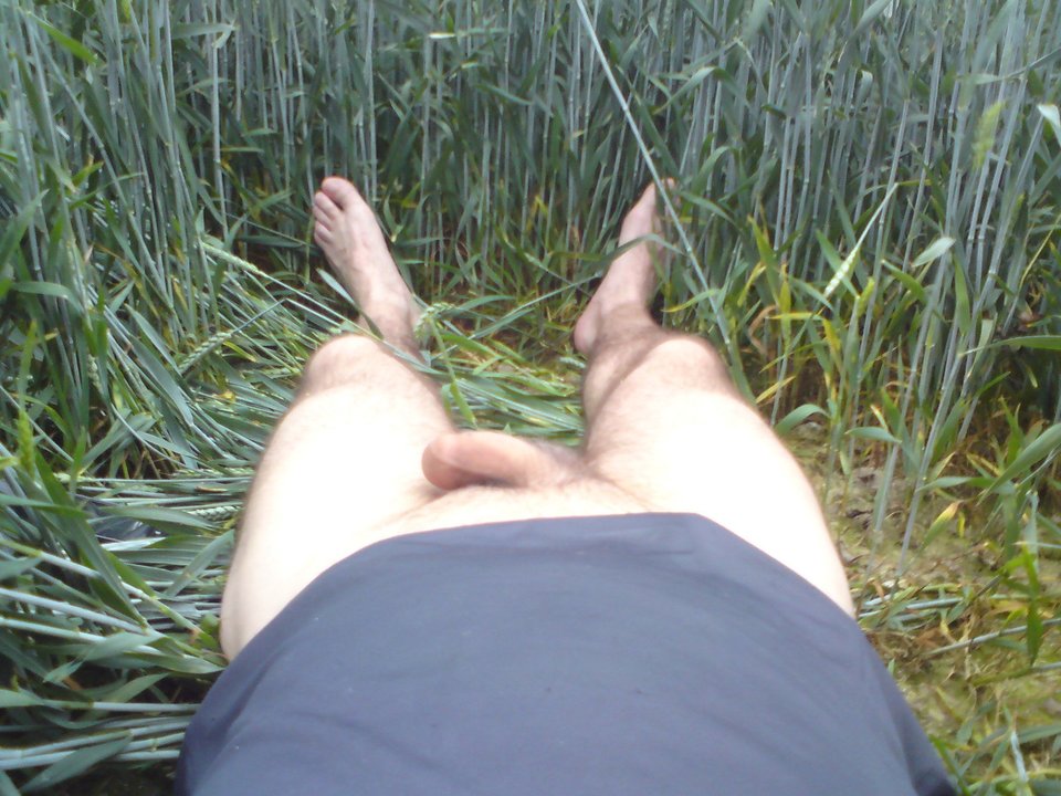 DSC01396.jpg - mtz150