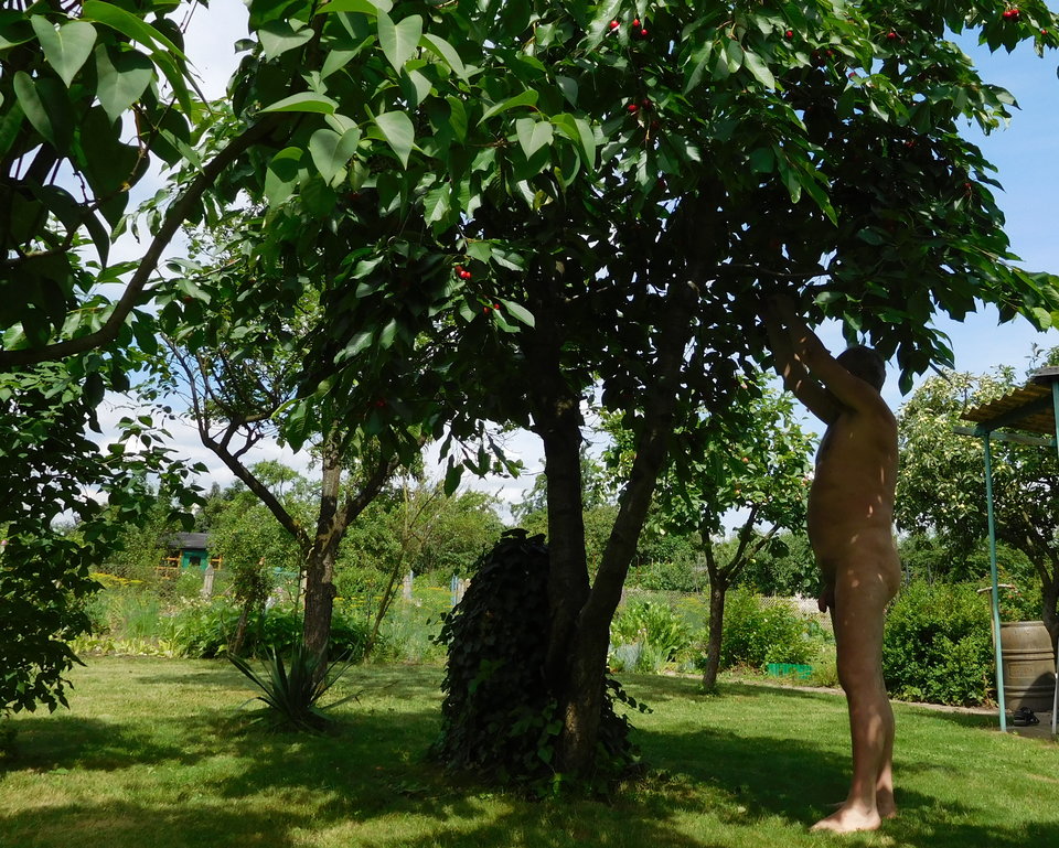 DSCN6742.JPG - Wlodekass