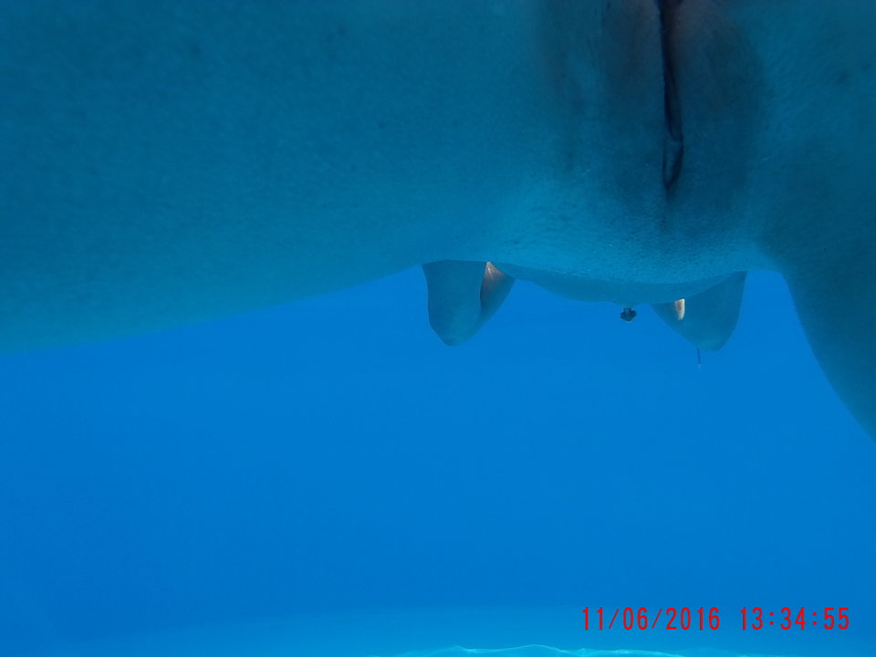 2016_0611_133456_006.JPG - masi