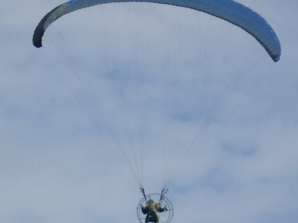 IMG_2248.JPG - tonic11