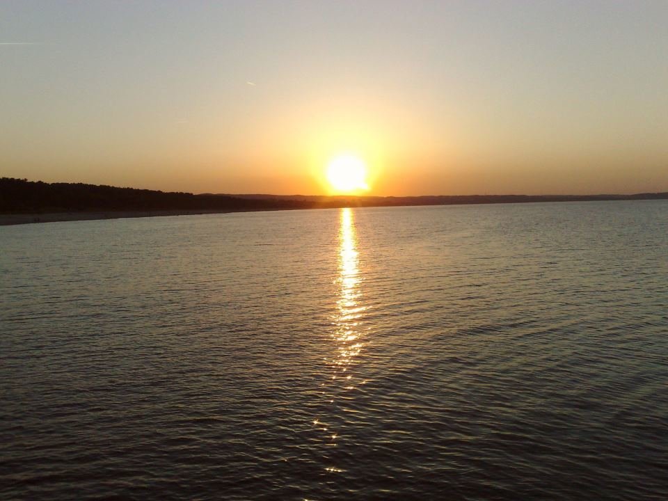 409326_336657663041061_1760779658_n.jpg - realistka23