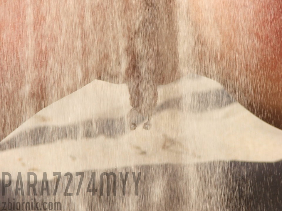 Lato.... - PARA7274MYY