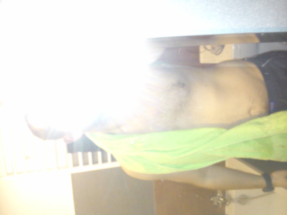 DSC_0067.jpg - kaczores