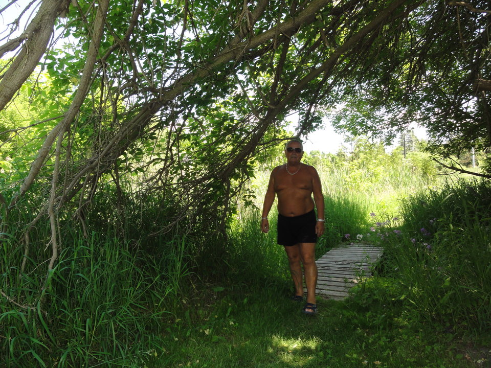 DSC02053.JPG - wlodek560