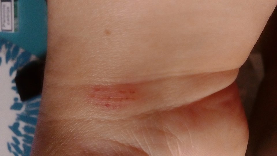 DSC_0246.JPG - Aanneettaa