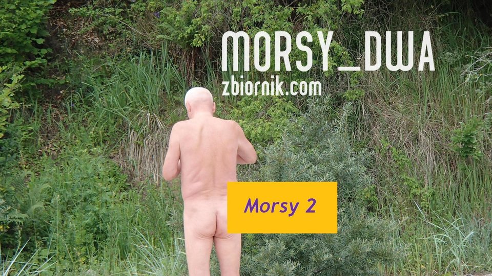 Plaża - Morsy_dwa