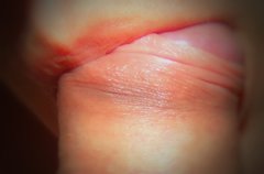 lodzik z bliska.jpeg