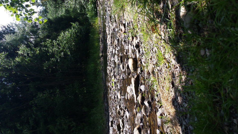 1468234974254-1327440165.jpg - bsrto2151