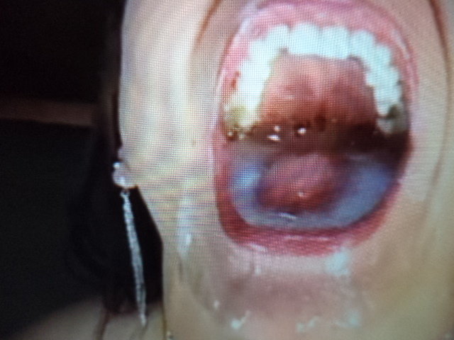 DSC04967.JPG - 160867