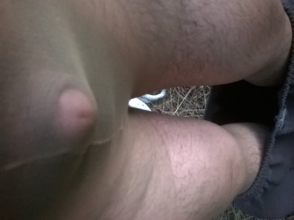 WP_20150906_004.jpg - Kamilia