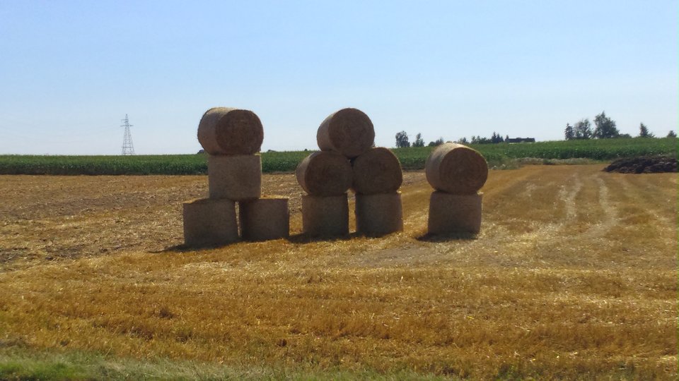 DSC_0188.JPG - 3mmmmmm