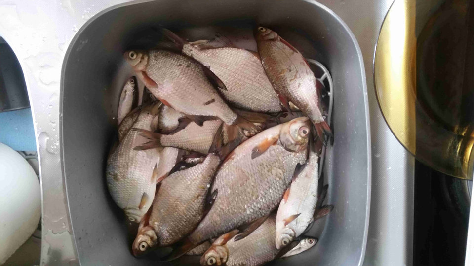 krapiki.jpg - skrad_dleihs