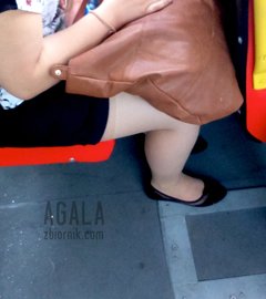 DSC_7690kl.jpg