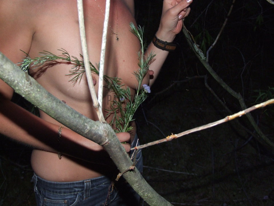 cycuszki - PARA7274MYY