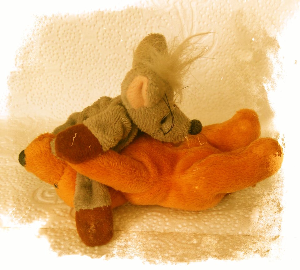 Myszko daj myszki :-P - Nikt_taki